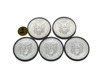 (1) Group of (5) 2019 $1 Silver American Eagles