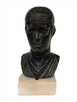 Bronze Replica Portrait Bust Ancient Greek Charioteer of Delphi on Marble Plinth