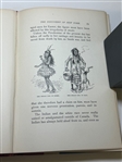 Bill Nye's History of the United States Illustrated by F. Opper, by Edgar Wilson Nye (1850-1896)