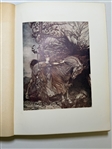 Ring of the Niblung by Richard Wagner 1925 Illustrated by Arthur Rackham