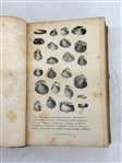 Conchologist's First Book by Edgar Allen Poe 1839 First Edition 