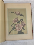 Francis Brinkley Japan Described and Illustrated by the Japanese Written by Eminent Japanese Authorities and Scholars 1897 First Edition 