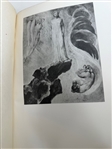 Paintings of William Blake 1925 First Edition with Dust Jacket