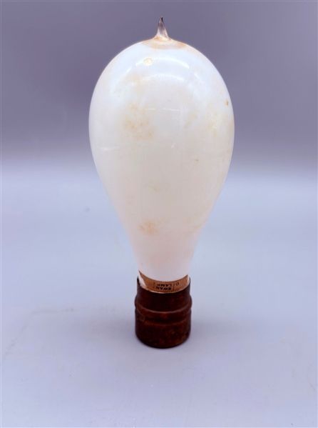 Swan Incandescent Light Bulb with Brass Screw Base