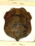 (3) United States Early Tokens