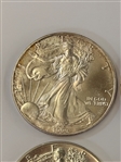 (4) BU American Eagles; 1994, 1995, 1999, 2001