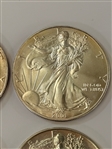 (4) BU American Eagles; 1994, 1995, 1999, 2001