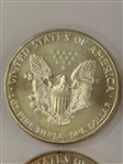 (4) BU American Eagles; 1994, 1995, 1999, 2001