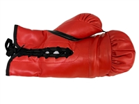 Mike Tyson, Tyson Fury Autographed Red Everlast Boxing Glove Beckett COA
