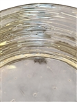 (2) Steuben Clear Bubble Threaded Plates