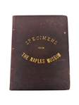"Specimens From the Naples Museum" 1884 with 160 Engraving Plates