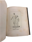 Specimens From the Naples Museum 1884 with 160 Engraving Plates